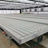 Bacs de semis à panneaux grillagés pour irrigation, galvanisés à chaud, pour pépinières, jardins de fleurs, culture de plantes personnalisable