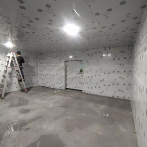 Trái cây kho lạnh chi phí kho lạnh cửa hàng Máy 100 tấn kho lạnh xây dựng coldstorage - Product Image 6