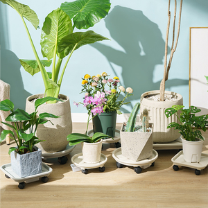 Plateaux de transport ronds en plastique blanc et gris durables pour pots de fleurs, avec <span class=keywords><strong>roulettes</strong></span>, pour intérieur et extérieur, vente en gros - Product Image 1