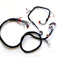 Kabel Adaptor Konektor Harness Kelistrikan Sepeda Motor Tembaga Berlapis Timah Khusus dengan Selubung PVC 240V/110V Berperingkat 2*0.5mm untuk