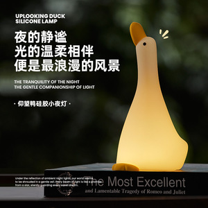 ไฟกลางคืนซิลิโคนรูปเป็ด ควบคุมด้วยการแตะ ชาร์จผ่าน USB แสงวอร์มไวท์ LED ขนาด 15x15x30 ซม. สำหรับห้องนอนเด็ก โคมไฟข้างเตียง - Product Image 2