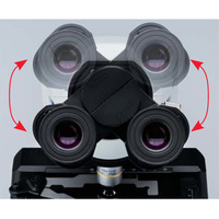 Microscope Électronique d'Entrée de Gamme Olympus CX23 avec Condenseur Abbe, Plateau Sécurisé, Résolution Caméra 4K, Indice de Protection IP68 pour Laboratoire de Routine