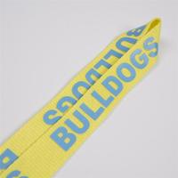 CH Wholesale Sublimation Printing Polyester Lanyards With Logo Custom Certification Keychain OEM ODM ECO Promotion Event Gifts