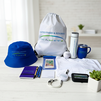 Articoli Promozionali Personalizzati con Logo per il Marketing Aziendale, Regali di Seguimento Clienti in Vendita all'Ingrosso