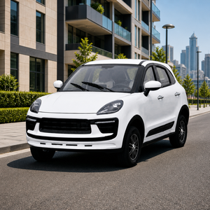 Großhandel 4-Türer Mini Elektroauto EWG COC-Zertifiziert Hochgeschwindigkeits-Elektrofahrzeug für Erwachsene Städtischer Transport - Product Image 6