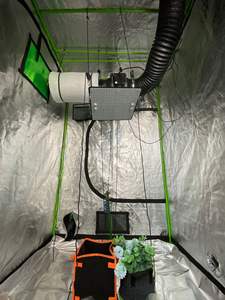 <span class=keywords><strong>Chambre</strong></span> <span class=keywords><strong>de</strong></span> <span class=keywords><strong>culture</strong></span> <span class=keywords><strong>de</strong></span> champignons <span class=keywords><strong>de</strong></span> haute qualité, conteneur <span class=keywords><strong>de</strong></span> <span class=keywords><strong>culture</strong></span>, tente <span class=keywords><strong>de</strong></span> <span class=keywords><strong>culture</strong></span> amovible - Product Image 6