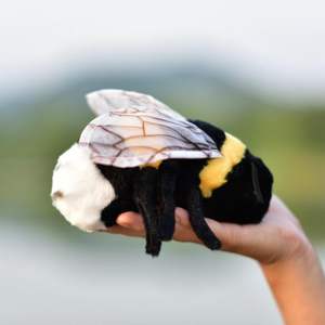 Juguete de <span class=keywords><strong>peluche</strong></span> de abeja suave personalizado de fábrica, muñeco de <span class=keywords><strong>peluche</strong></span> con forma de abeja real, bonitos peluches de abeja - Product Image 4