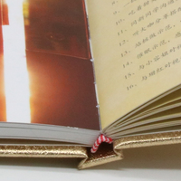 Cetak Buku Foto Sampul Keras Kertas Berlapis Berkualitas Tinggi, Murah, Jilid Sempurna untuk Penggunaan Bisnis dengan Cetak Offset