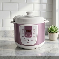 Autocuiseur Électrique GB-PC500A 6L 800W avec Boîtier en Acier Inoxydable, Cuve Intérieure en Fer-Aluminium, Utilisation Domestique, Cuiseur Vapeur, Cuillère et Mesureur