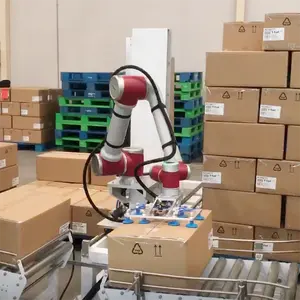 Robot Palletizer Pallettizzazione Impilabile Scatole Industriale Braccio Robotico Mini Cobot