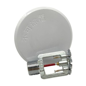 Cabezal de rociador oculto ZSTDY para hoteles, rociador oculto de Respuesta Rápida flexible contra incendios <span class=keywords><strong>en</strong></span> el techo - Product Image 3