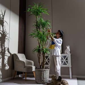 Árbol de Dracaena Artificial para Espacios Decorativos Interiores, Planta <span class=keywords><strong>Verde</strong></span> Grande en Maceta para Decoración de Sala de Estar, Oficina y Hogar - Product Image 4