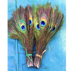 Plumes de paon brutes Mor Chhadi pour les arts, l'artisanat, les décorations de mariage et de fête, les accessoires de mode, le bricolage et les spectacles sur scène - Product Image 1