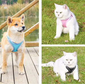 सुपर लुभावनी जाल के साथ समायोज्य पिल्ला बनियान, बाहरी चलने के लिए परावर्तक नो-पुल पालतू हार्नेस - Product Image 5