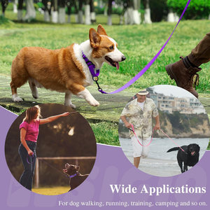 उच्च गुणवत्ता वाले निर्माता नायलॉन कुत्ते कॉलर कस्टम डिजाइनर समायोज्य वाटरप्रूफ कुत्ते प्रशिक्षण कोलार्स आउटडोर चलने के लिए - Product Image 6