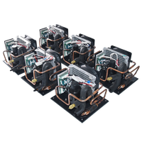FSTHERMO 12VDC Mini Compresseur d'Air Refroidi par Air avec Condenseur à Micro-Canaux