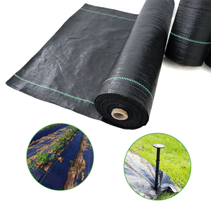 <span class=keywords><strong>Géotextile</strong></span> tissé moderne en HDPE / Couverture du sol / Barrière <span class=keywords><strong>anti</strong></span>-mauvaises herbes / Tapis de contrôle pour l'agriculture / Jardin / Paysage - Product Image 1