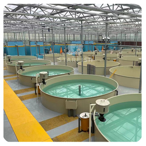 Bể cá trong nhà đa năng, chất liệu PP, mẫu mới 2025, bán buôn, bán chạy nhất, có thể tùy chỉnh - Product Image 1