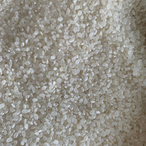 Arroz de Grano Corto Premium |   Arroz de sushi fresco, suave y pegajoso |   Alta Calidad, Origen Vietnam/Asia - Product Image 1