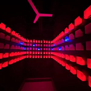 Leap Grid Sensor interactivo Simulación Rock Point Juego PVC Indoor Shopping Mall Secret <span class=keywords><strong>Room</strong></span> Adventure Park Rock Climbing Same - Product Image 5