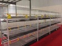 Équipement d'élevage avicole : Cage pour poussins, Cage de poulailler, Cage d'élevage de poulets à vendre