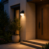 Lampe murale solaire LED OEM 220lm à charge rapide 6H avec capteur PIR 120 degrés pour la décoration de la cour, de la clôture, du chemin et de l'entrée, de LEAD OPTO