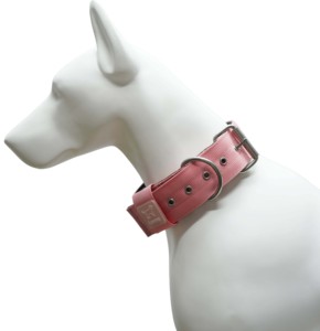 Collier pour chien rose robuste avec doublure rembourrée douce, boucle à ardillon pour chiens de taille moyenne et grande, nylon durable et quincaillerie métallique - Product Image 6