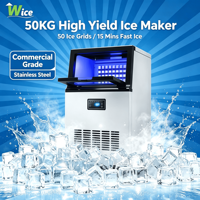 Machine à glaçons professionnelle WICE Ice Factory 50 kg