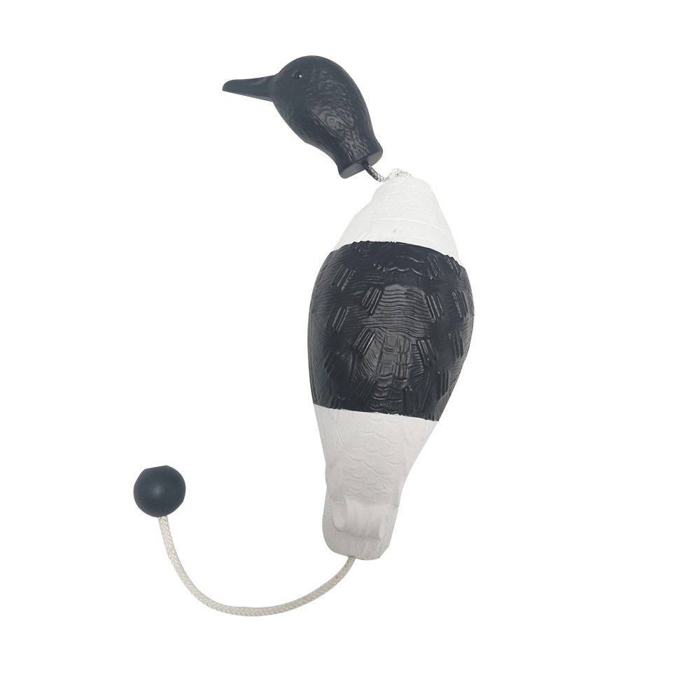 White and Black Ducks