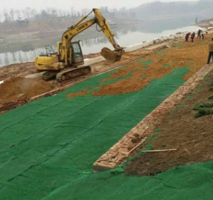 Géotextiles en plastique renforcé 3D de couleur verte personnalisés pour la protection moderne des barrages et des systèmes de drainage - Product Image 2