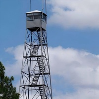 Tour de surveillance en acier Q355 de technologie professionnelle pour la surveillance des incendies forestiers et des sites de sécurité