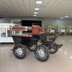 Nouvelle Arrivée en Gros : Carrosse de Marathon à 4 Roues pour Poney, Nouveau Design, Carrosse pour Petit Cheval - Product Image 3