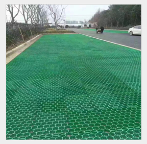 Giá thấp bán lẻ khu dân cư trường cháy khẩn cấp làn đường gia cố thấm nhựa cỏ lưới với báo cáo thử nghiệm leed - Product Image 3