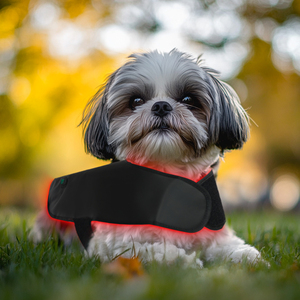 Neue LED-Rotlicht-Infrarottherapie-Decke für Hunde – Rotlichttherapie für Tiere - Product Image 3