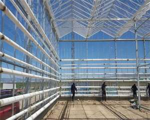 Smart Agricultural Multi-Span Venlo Glass Greenhouse Solar Photovoltaic Solar Greenhouse for Sale - Product Image 4
