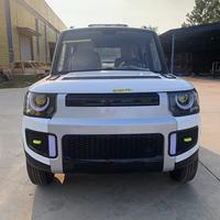 Nouveau véhicule utilitaire électrique Nuen 3kW, fourgonnette de livraison à basse vitesse, quadricycle 4 roues, 45 km/h, autonomie 80-200 km, batterie au plomb-acide, carrosserie fermée
