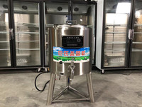 Machine de pasteurisation du lait au yaourt 10L 20L 30L 50L 100L 150L 200L 300L à usage domestique à petite échelle