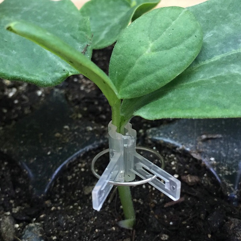 Пластиковые зажимы для поддержки растений, прививочные клипсы для сада, овощей, цветов, лозы