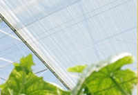 Écran thermique en aluminium, occultant, serre interne, écran de climatisation, tissu en aluminium, reflète le rayonnement infrarouge