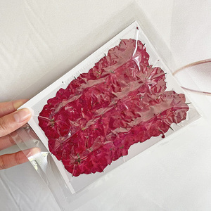 Fiori Pressati di <span class=keywords><strong>Rose</strong></span> per Resina Epossidica, Decorazione con Fiori Essiccati, Nuova Moda per Capodanno, Fiori e Ghirlande, Piante Vere, Alla Moda, 7-15 Giorni - Product Image 5