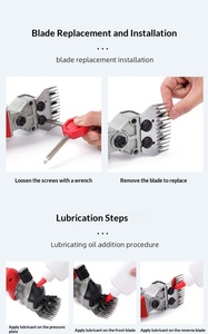 CASHT AC002 Tondeuse électrique haute puissance pour moutons/chèvres/<span class=keywords><strong>agneaux</strong></span>, acier inoxydable, rouge, sans fil, batterie au lithium rechargeable, 220V, neuve - Product Image 6