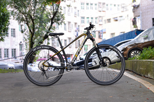 Vélo de montagne 29 pouces en fibre de carbone T800 avec passage de câbles interne, transmission 12 vitesses pour XC tout-terrain TRIFOX M2 TRIFOX M2 MTB Pro - Product Image 3