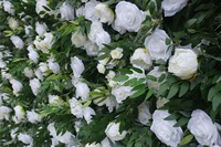 Dekorasi Dinding Bunga Daun Mawar Peony Hijau Putih Hutan 5D Baru untuk Latar Belakang Pernikahan, Pemotretan Foto, Elegan Modern Romantis