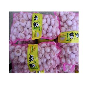 Jining fábrica al por mayor China agrícola fresco normal ajo blanco al por mayor 50mm 55mm 60mm ajo blanco puro para la venta - Product Image 3