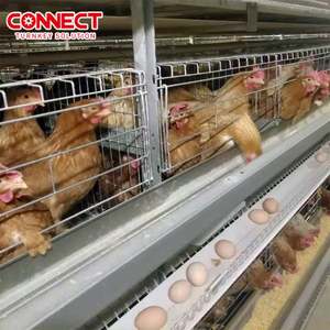 Cages industrielles pour poules pondeuses en batterie pour grand projet avicole Équipement automatique d'élevage de volaille avec système de ponte - Product Image 4