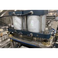 Machine d'emballage sous blister liquide DPP 420 Sauce Chocolat Miel Beurre pour une qualité supérieure