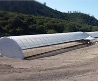 Serre agricole à tunnel unique Jiapei, économique, pour la culture de la tomate