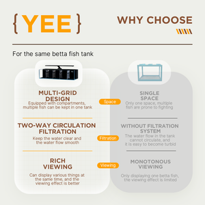 סיטונאי ביטה אקווריום רב רשת שילוב מיכל דגים מזכוכית קטן עם שינוי במים ללא שינוי - Product Image 2