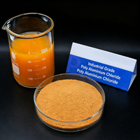 Chlorure de polyaluminium de qualité industrielle, poudre jaune, CAS 101707-17-9, importateur de produits chimiques