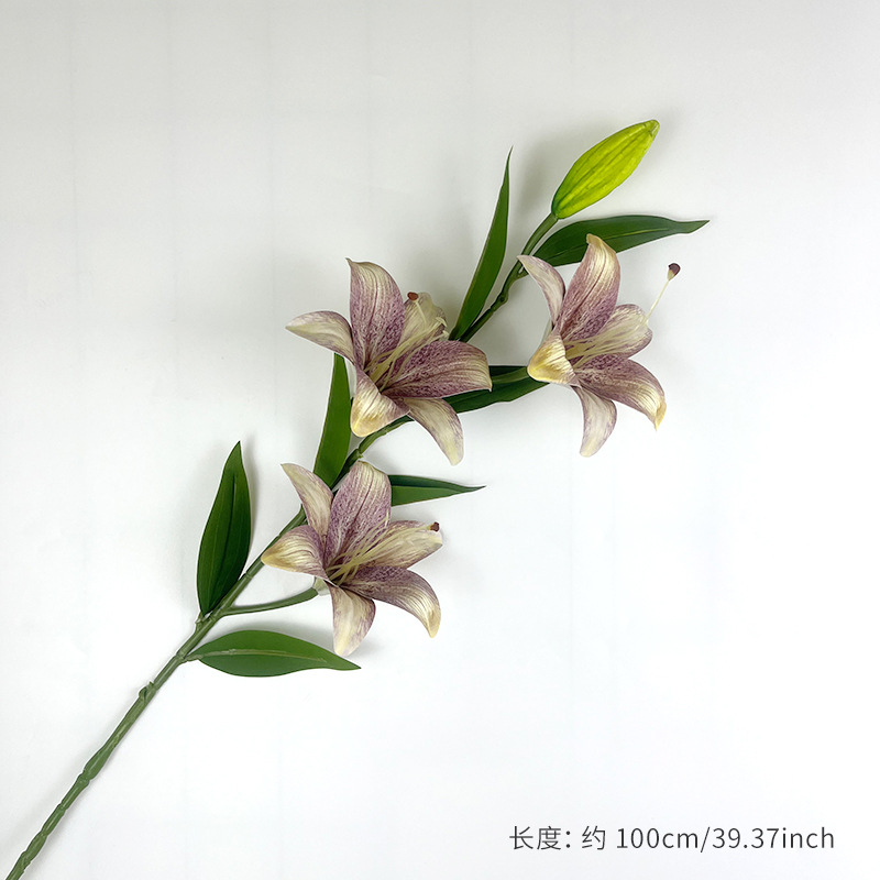 แกนสีเหลืองม่วง